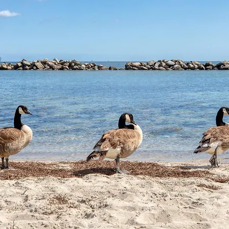 Strandgut Schilksee